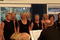 TilstonConcert2017_1