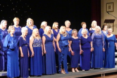 ellesmere-port-concerta